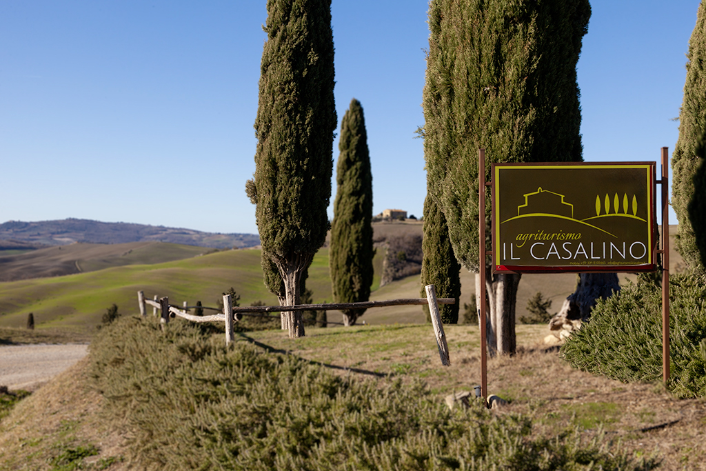 IMG_4641-copia